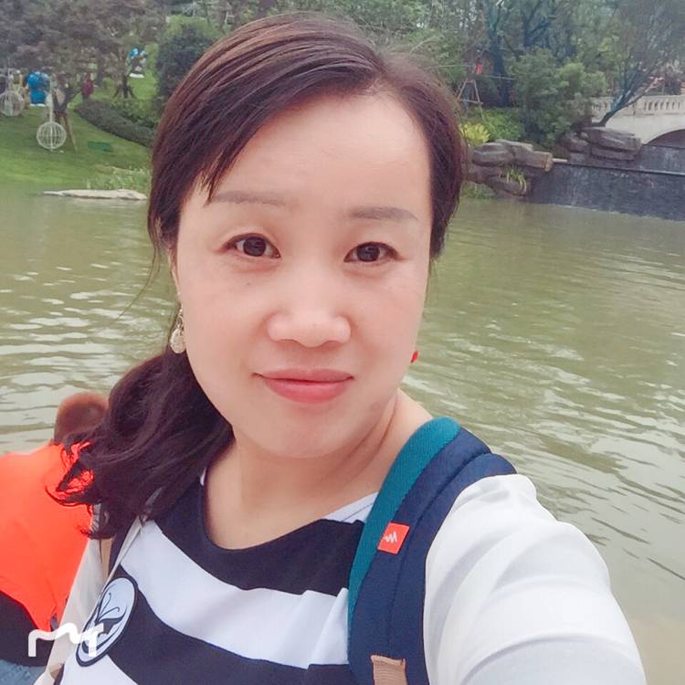 叶子的照片