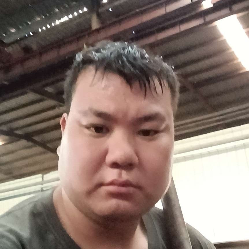 网络就高大的照片