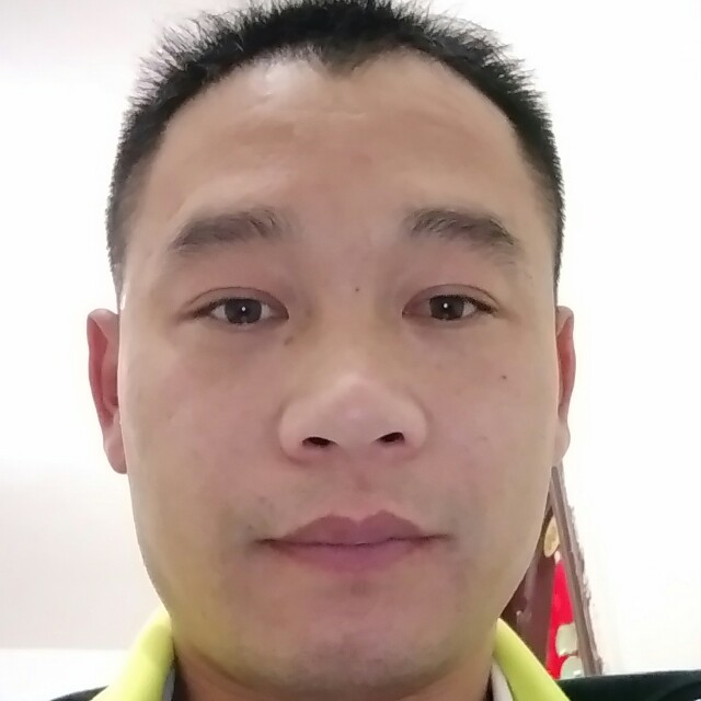 大胆羽毛的照片