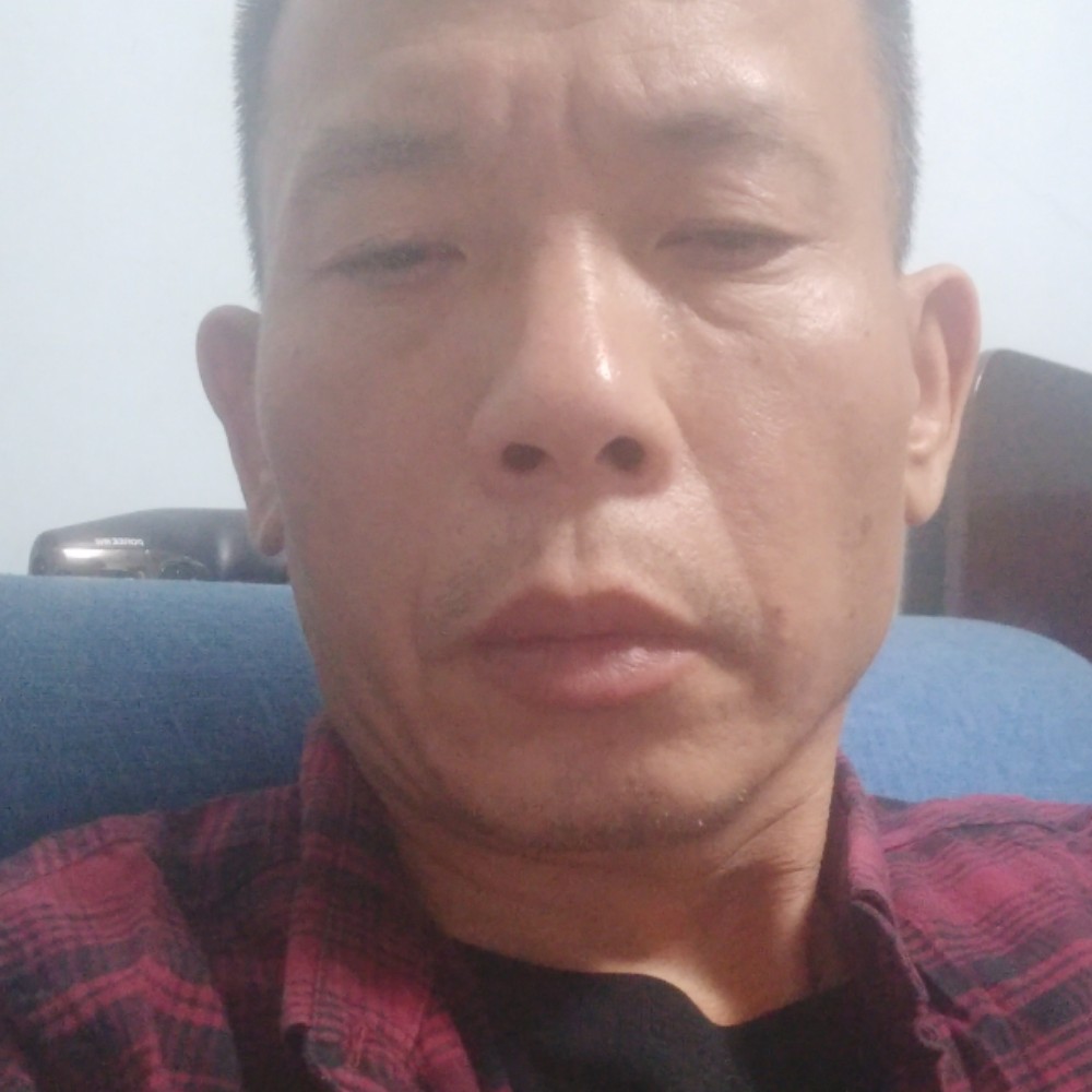 广东龙的照片