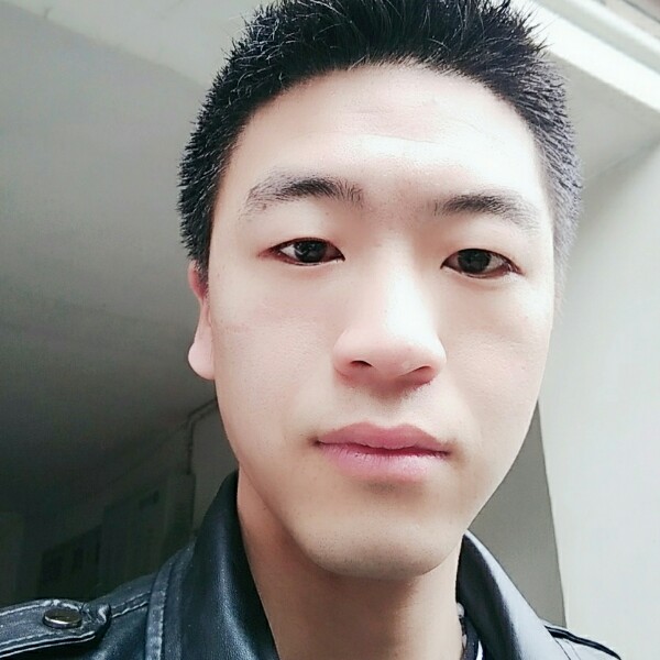 蜜蜂浅吻无辜的照片