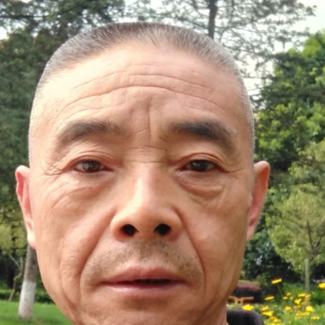 天真有砖头的照片