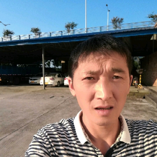 安静爱战斗机的照片
