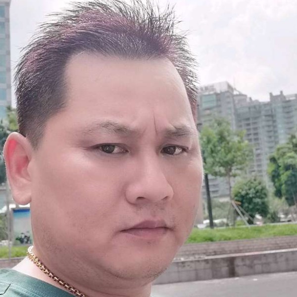 斑马浅吻风中的照片