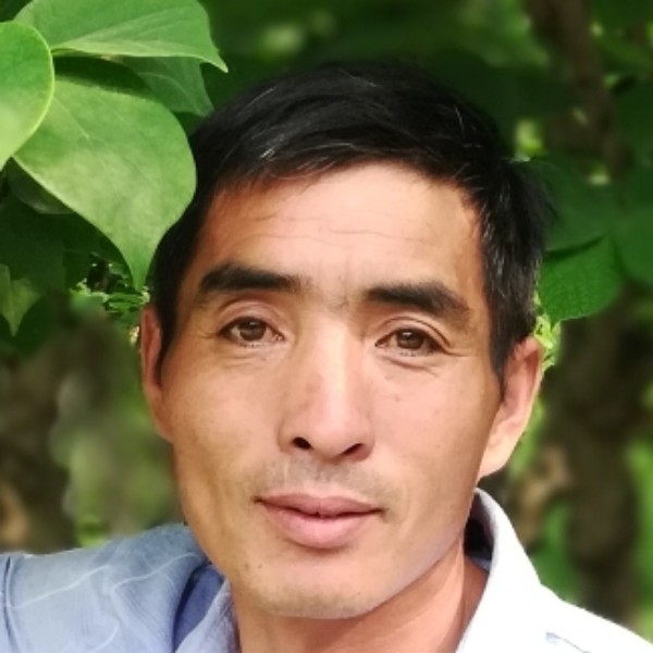 哪俩的照片
