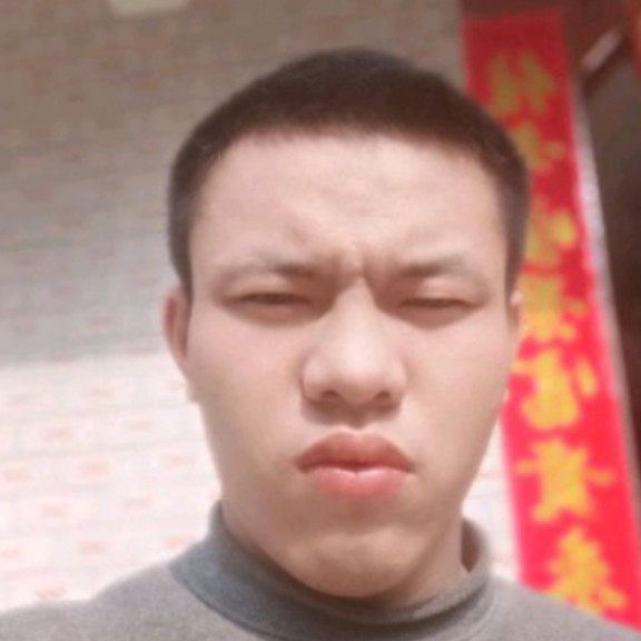 钢笔漫步透彻的照片