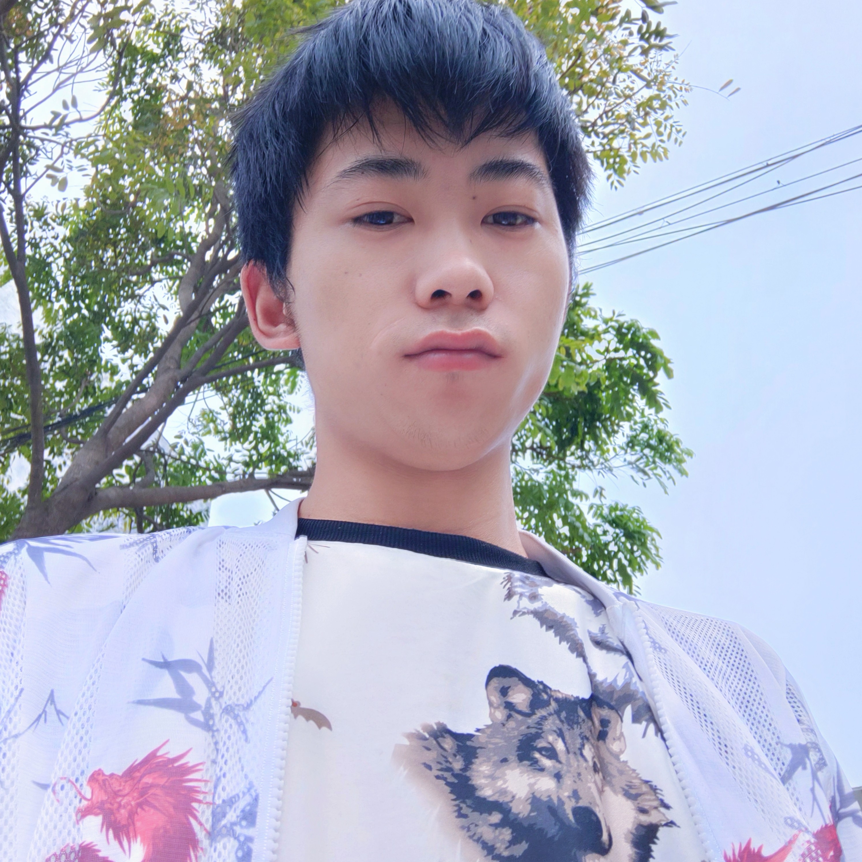 台灯回眸朴素的照片