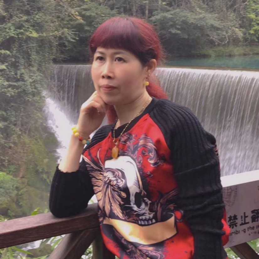 玫瑰花园6824的照片