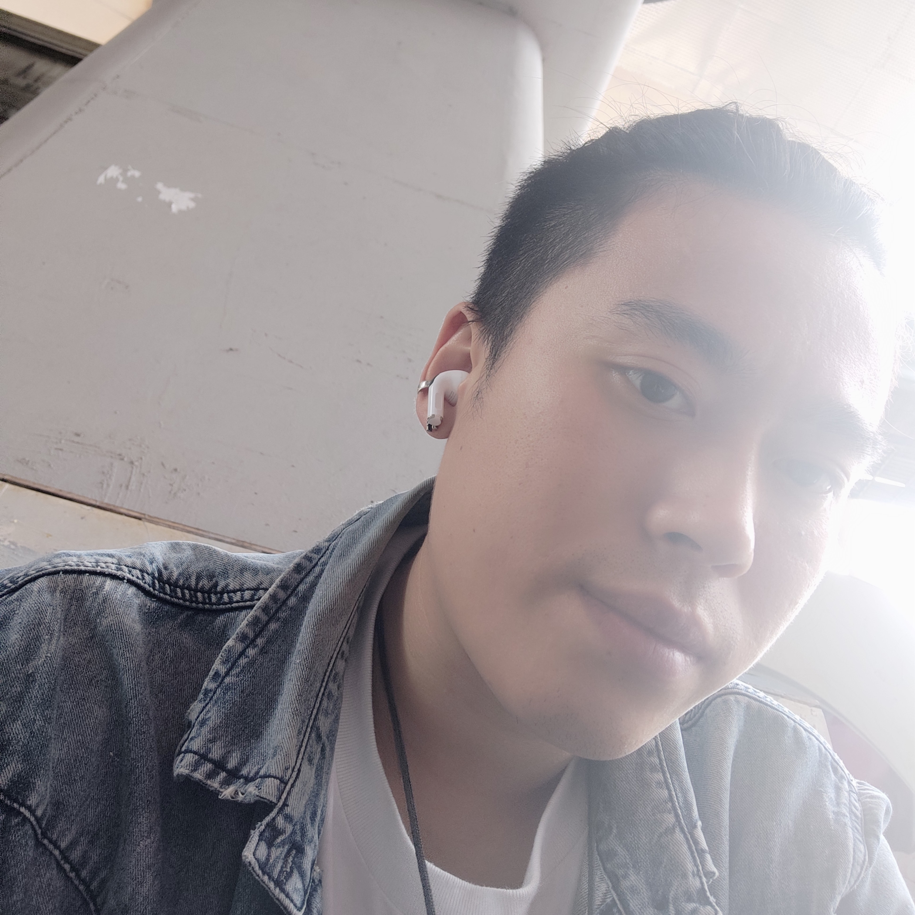 丁克影子的照片