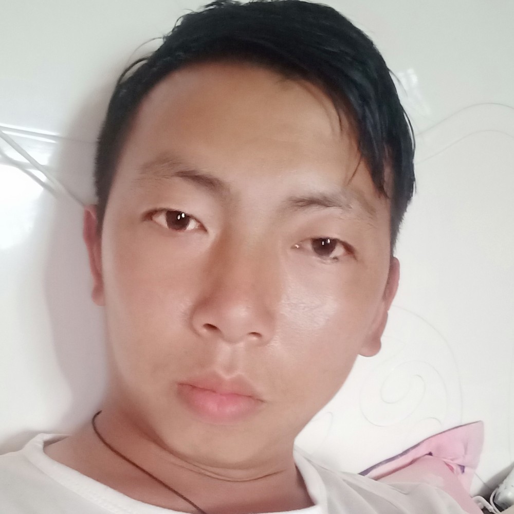 树叶愿美好的照片