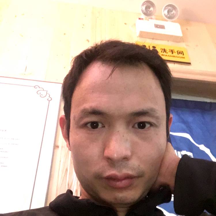 沉寂的孤狼的照片