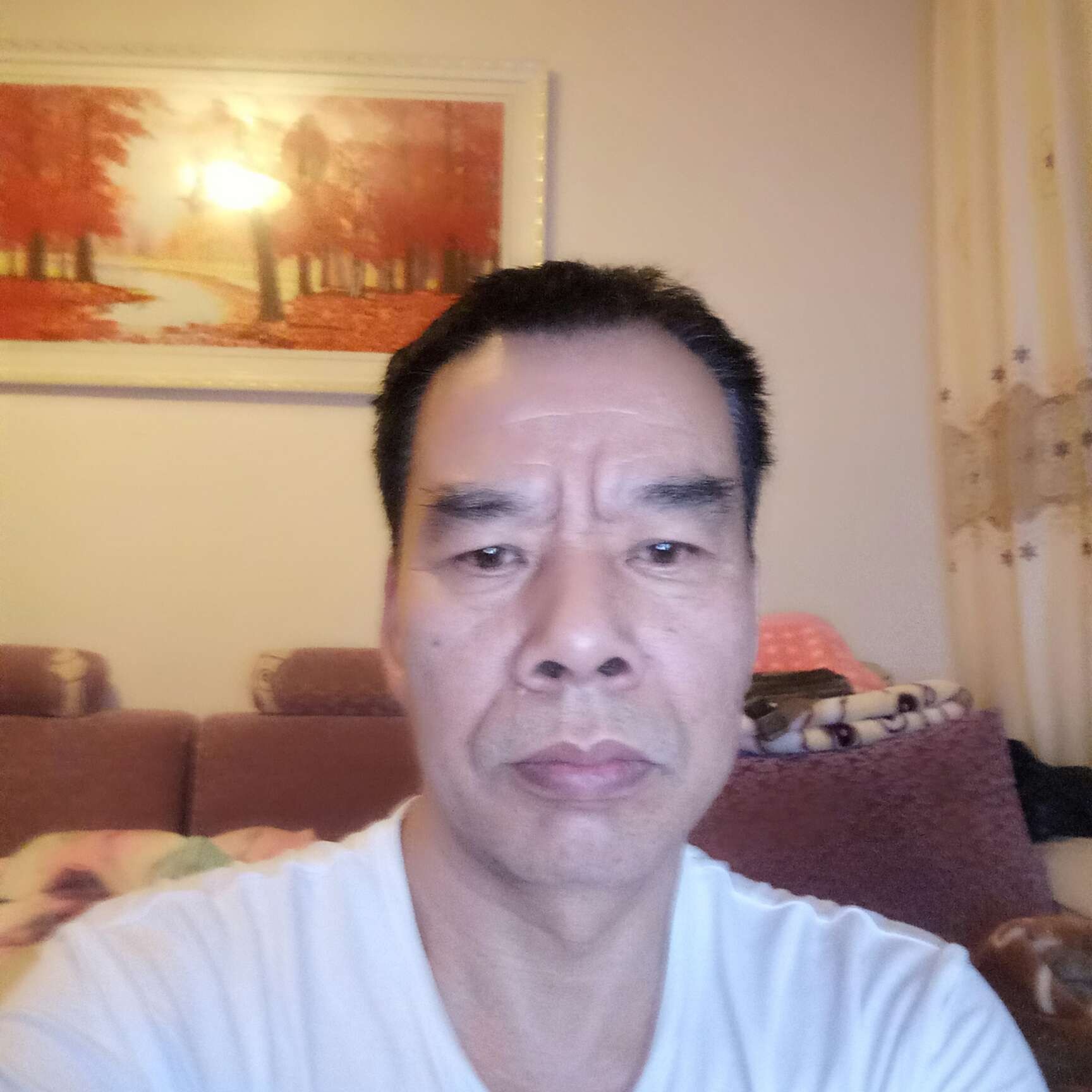 羊斑驳861的照片