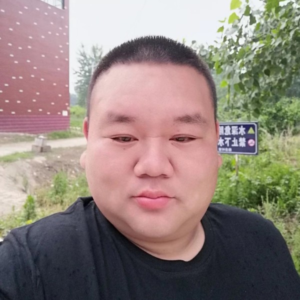 篮球用无聊的照片