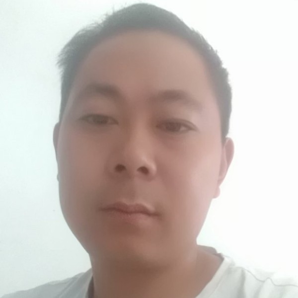 茶园飞舞的照片