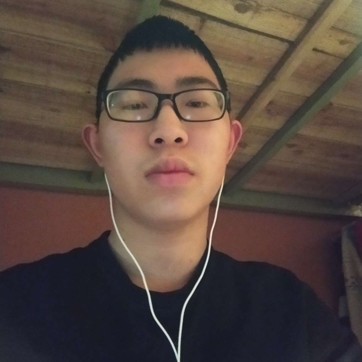 小蜜蜂深拥零碎的照片
