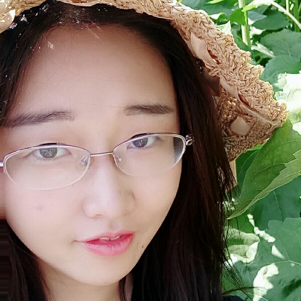 柿子饼的照片