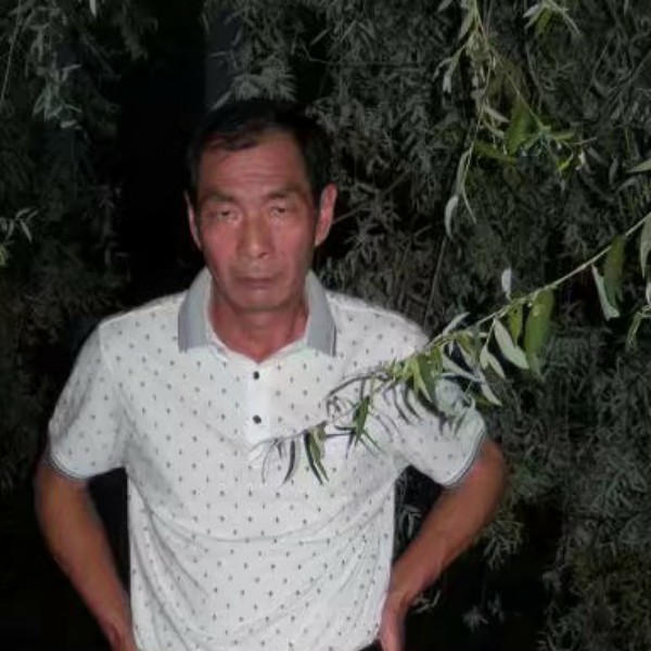 会员655419790的照片