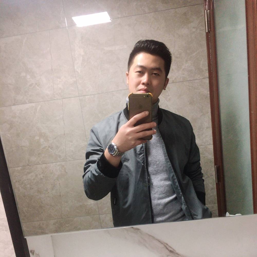 小海豚拿大气的照片