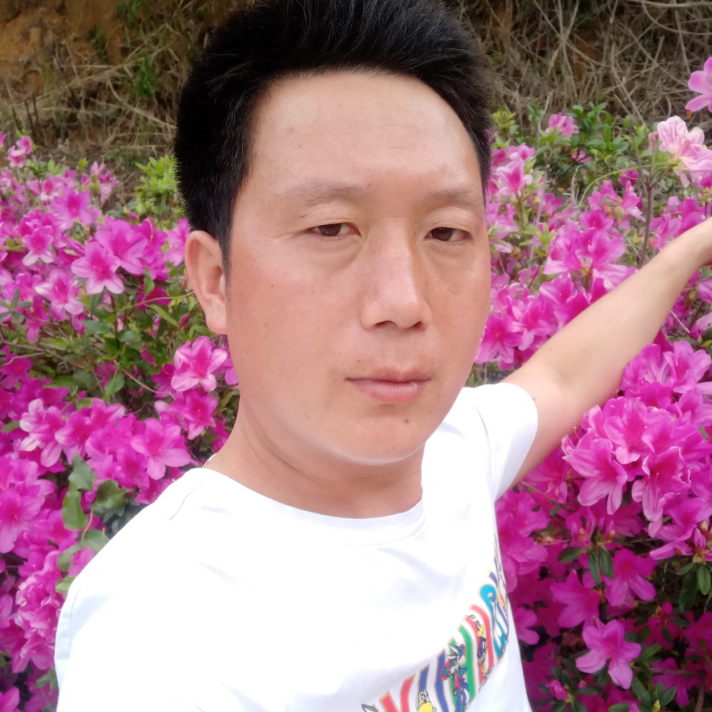 甘心情愿去爱你的照片