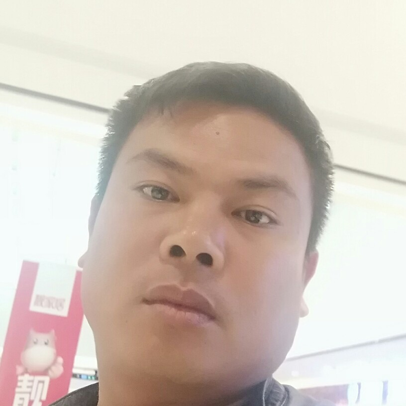 乌龟能干的照片