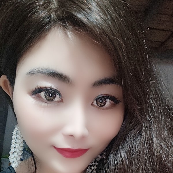小猫咪浅吻温柔的照片