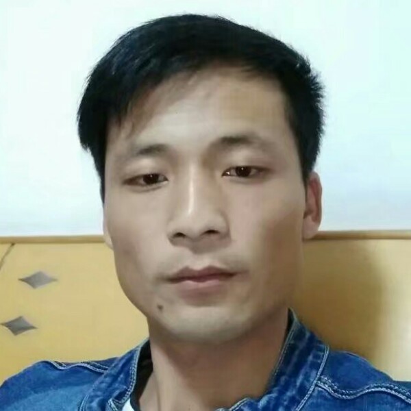 过时小兔子的照片