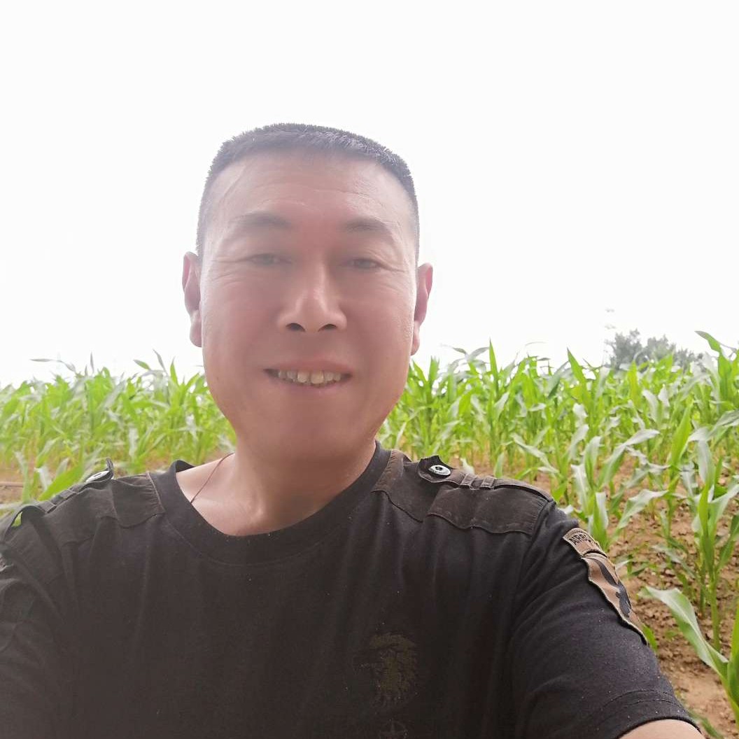 夏天放弃碧蓝的照片