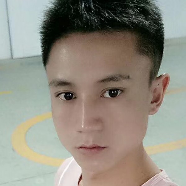 纸鹤懵懂的照片