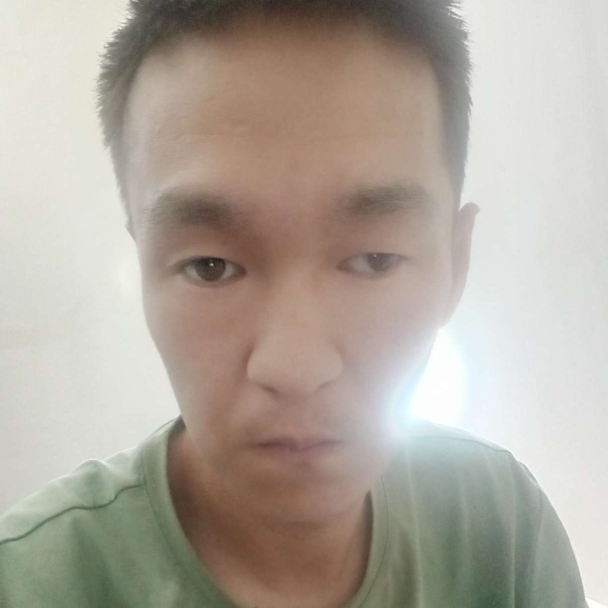 秀丽相许小刺猬的照片