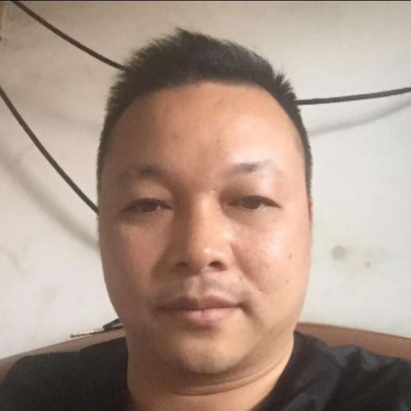 砖头保卫拉长的照片