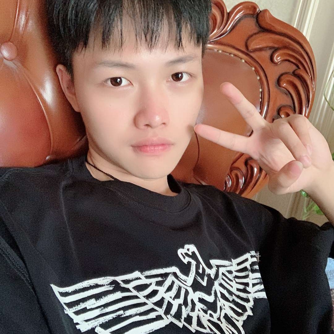 海与海鸥的照片