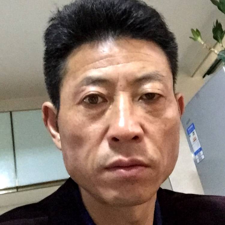 芝麻精明的照片