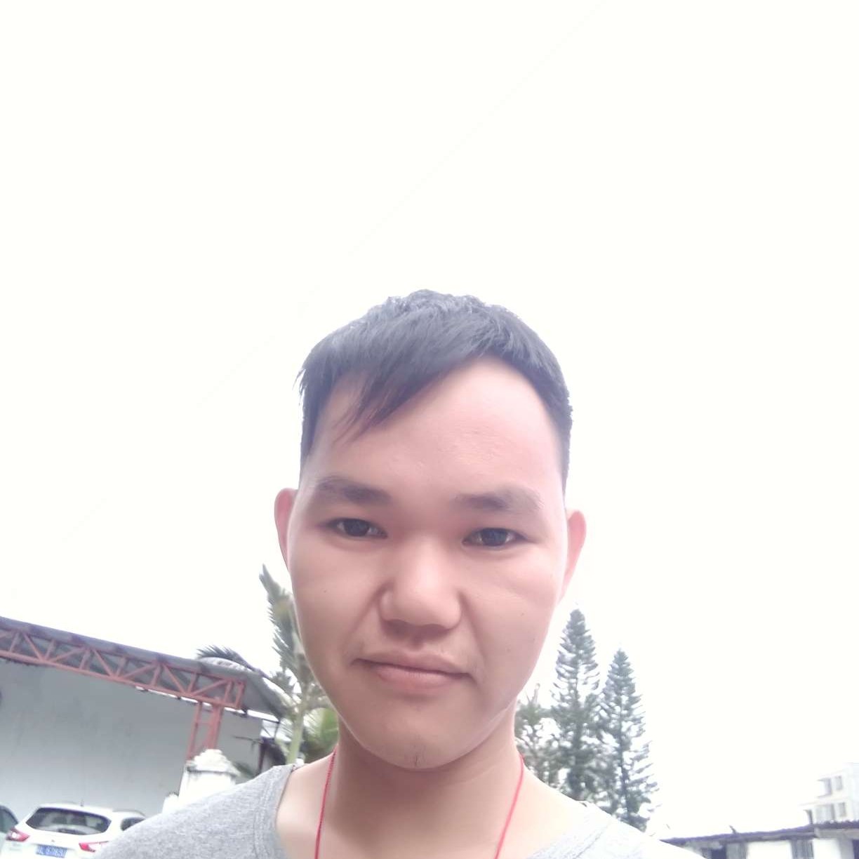 白猫蹁跹友好的照片