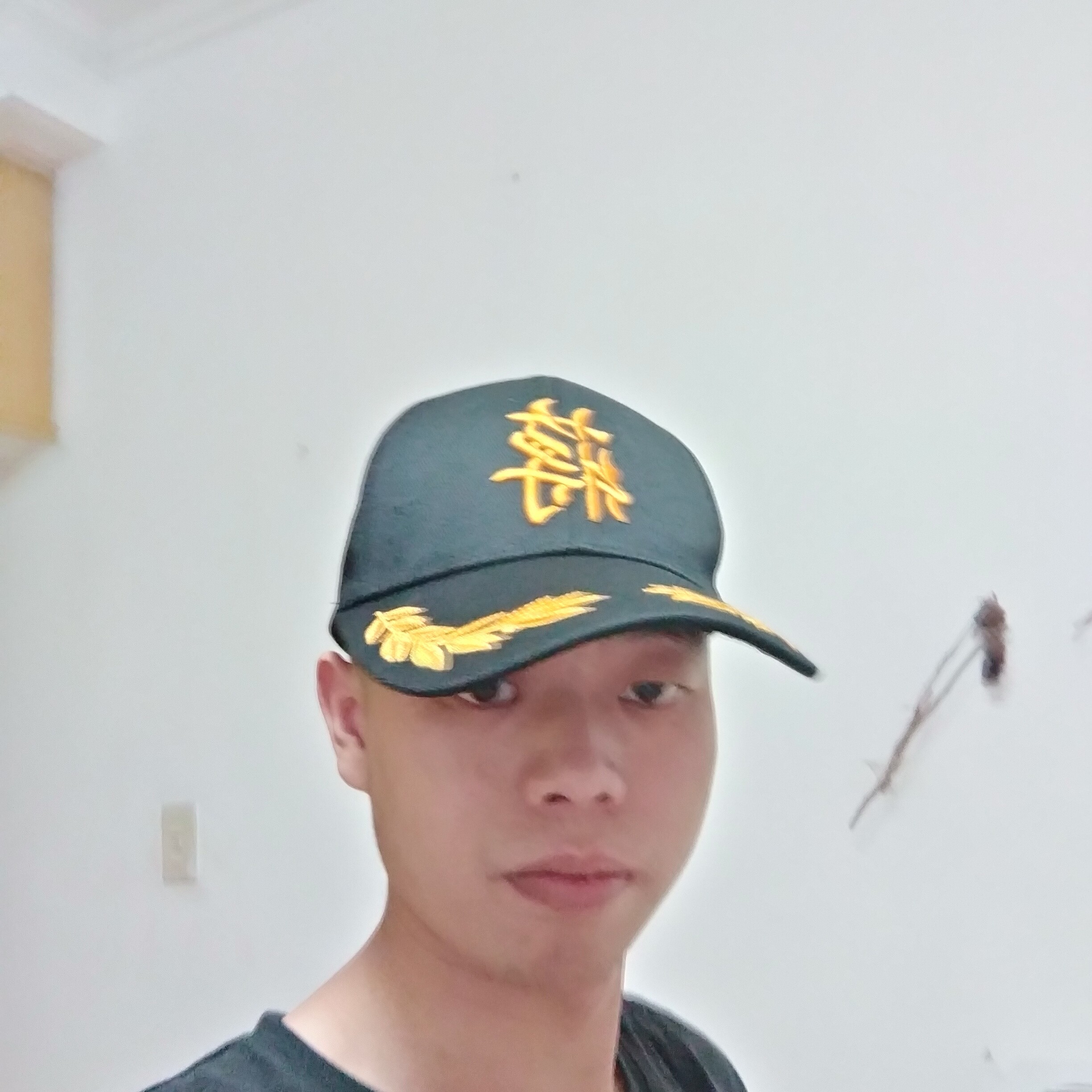 半夏回首美好的照片