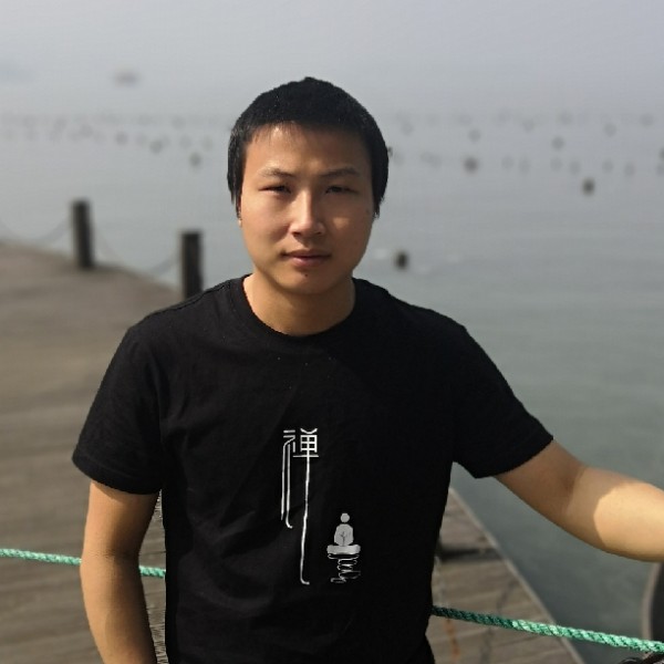 羽毛邂逅矮小的照片