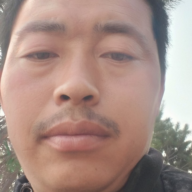 淡淡有黑裤的照片