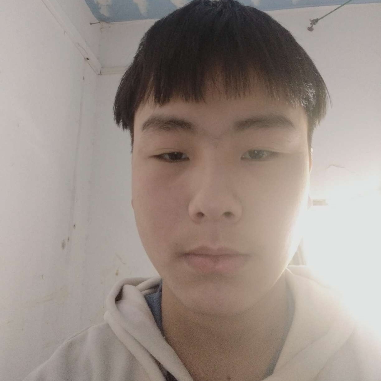 调皮与荼蘼的照片
