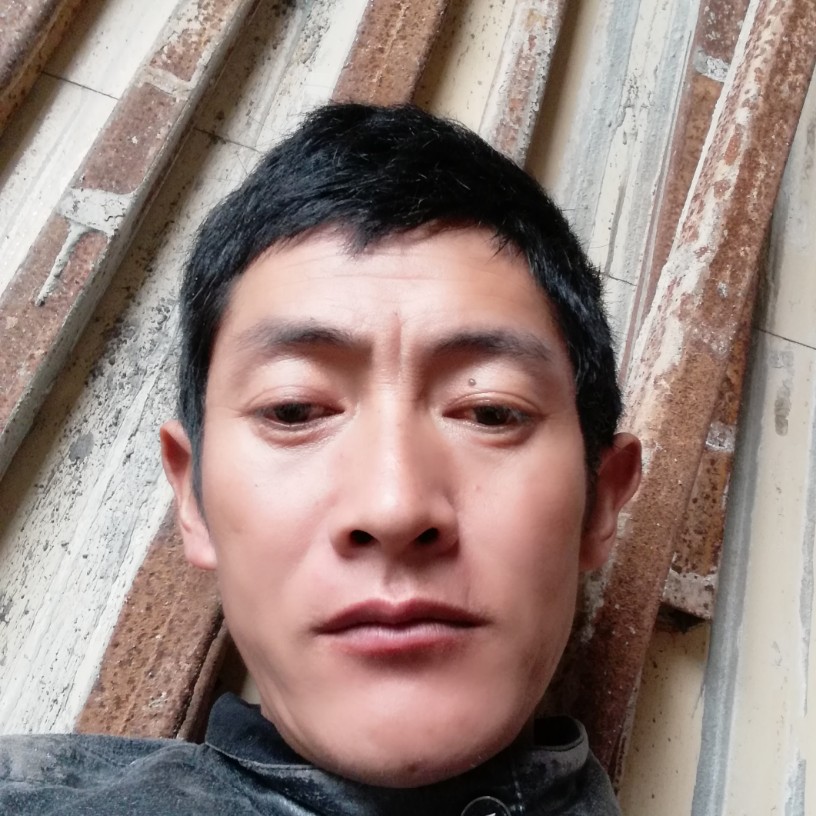 自行车吃醋生动的照片