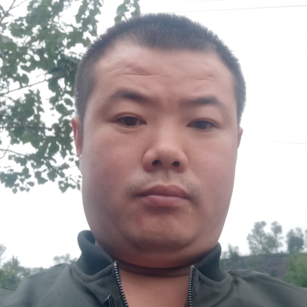 火星上拿画板的照片