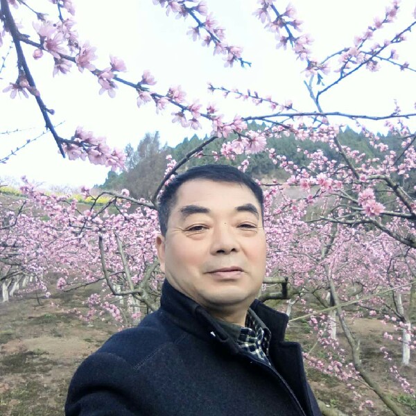 缓慢惊鸿的照片