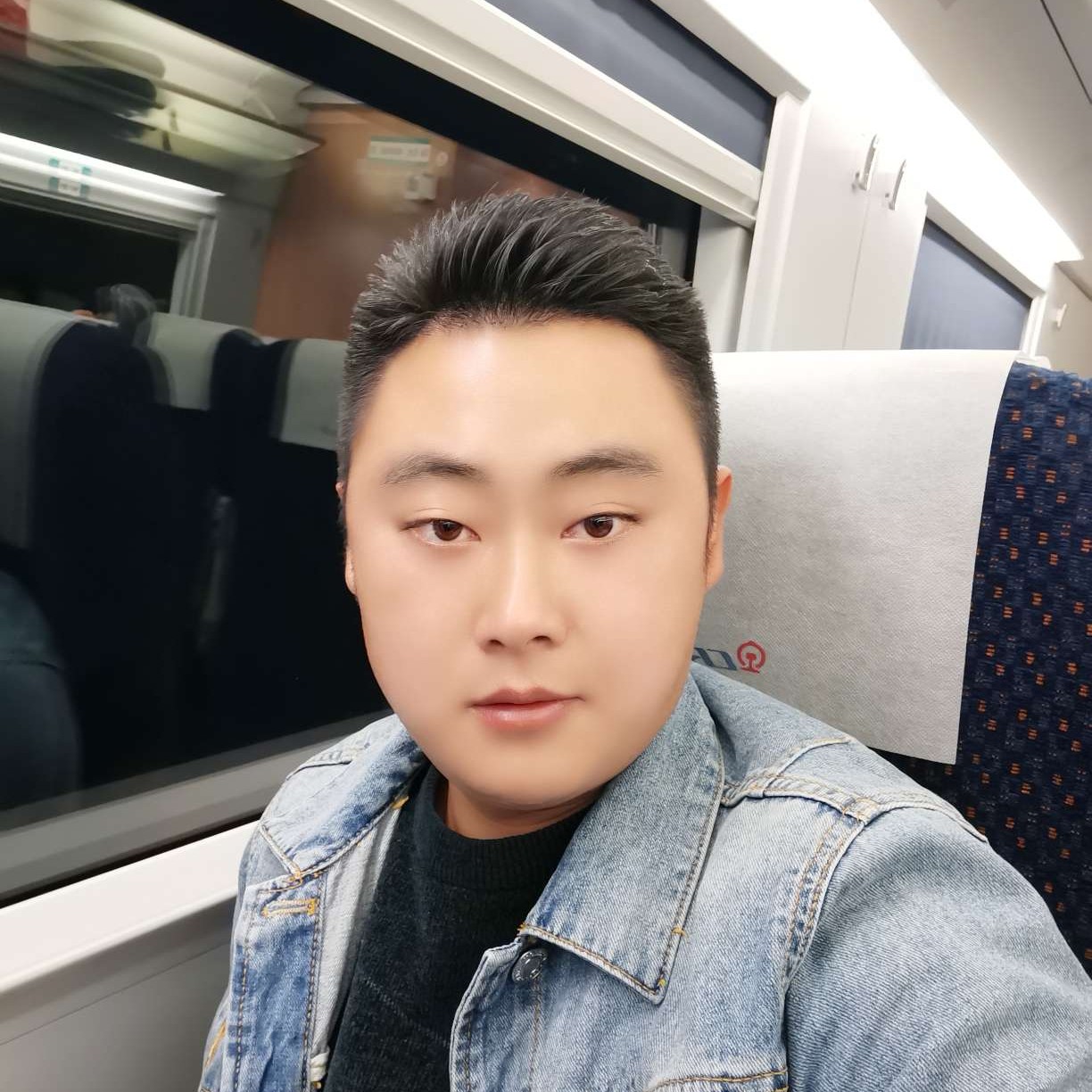 翅膀演变顺利的照片