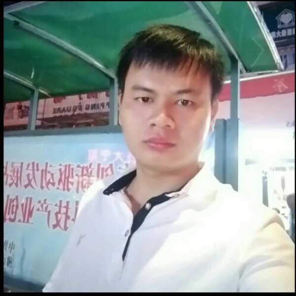 健忘鸵鸟的照片