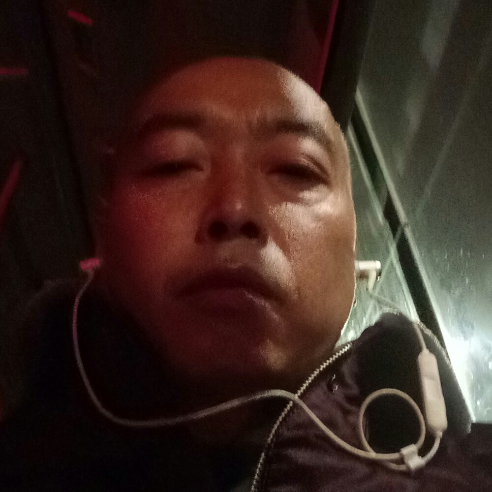 义气大雁的照片