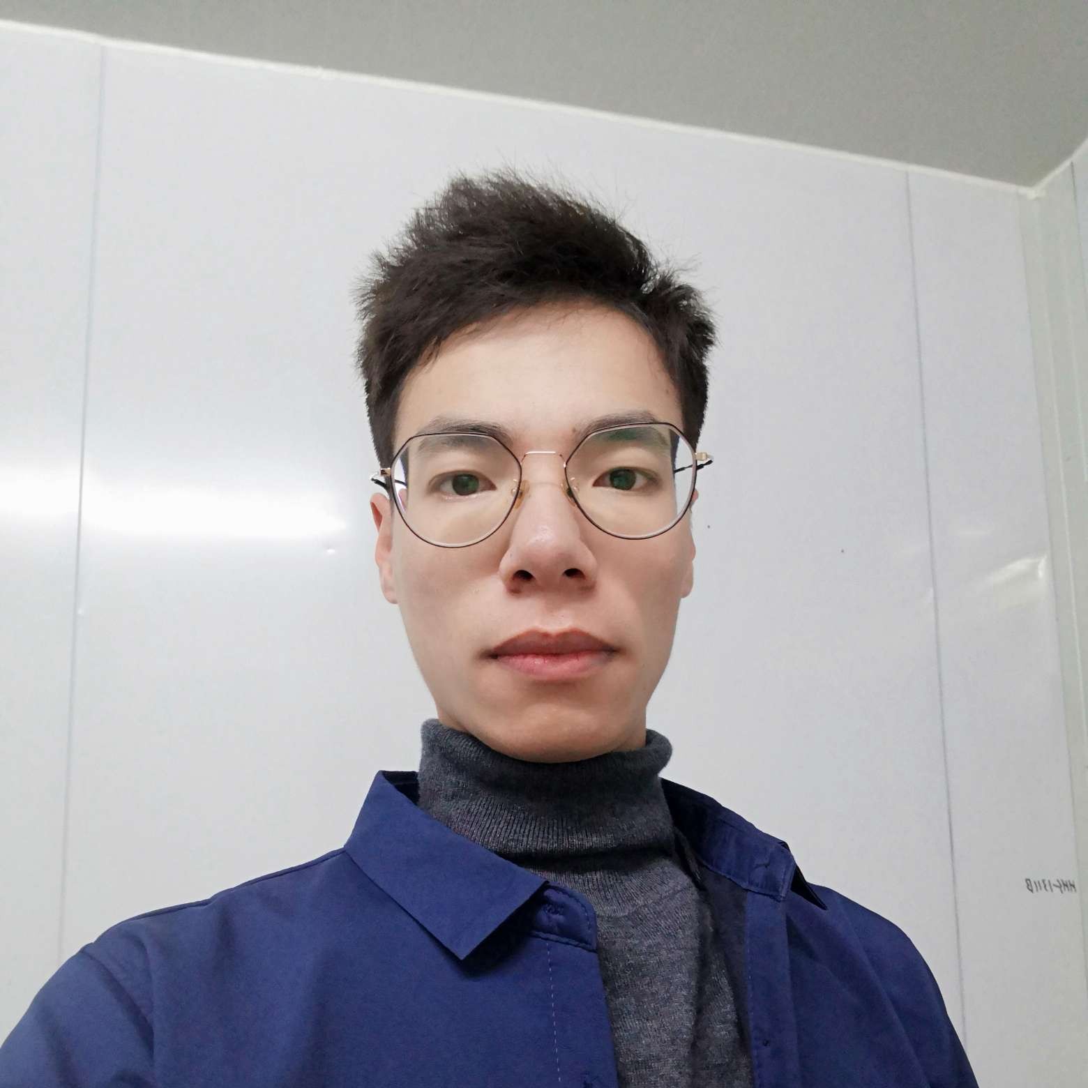星虹信天翁的照片