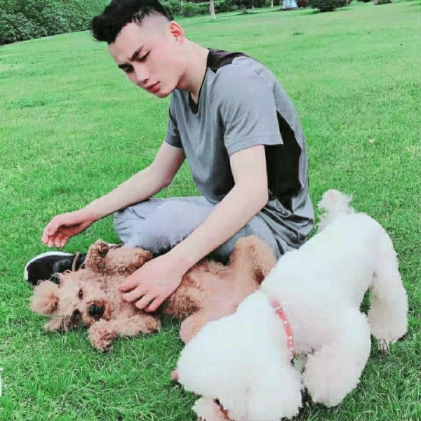 给与的天空的照片