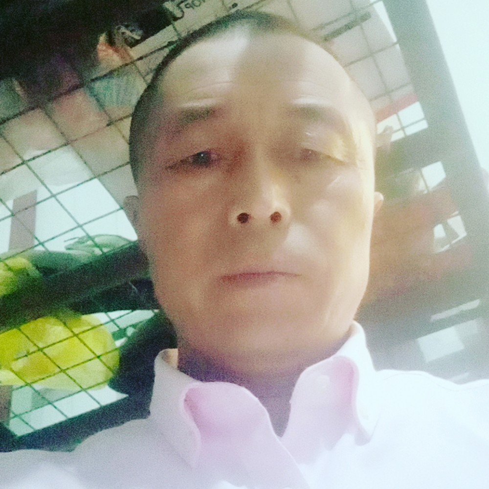 聪慧蹁跹心岛的照片