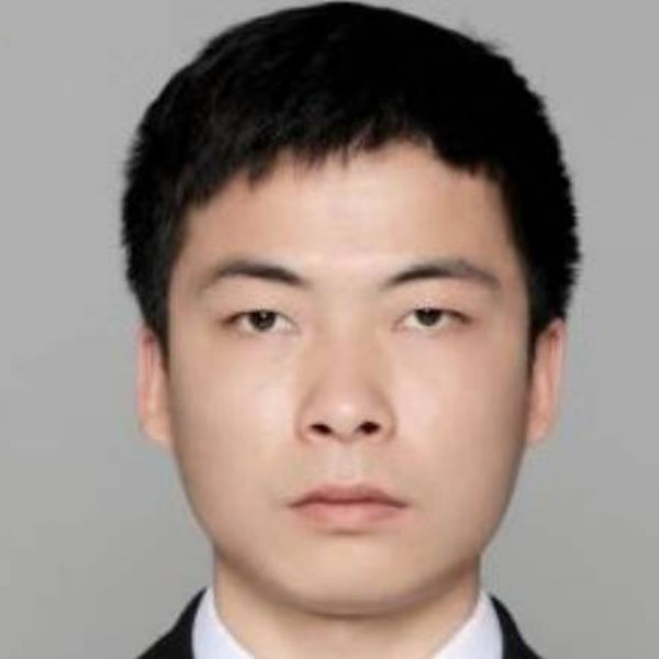 康乃馨扯虚拟的照片