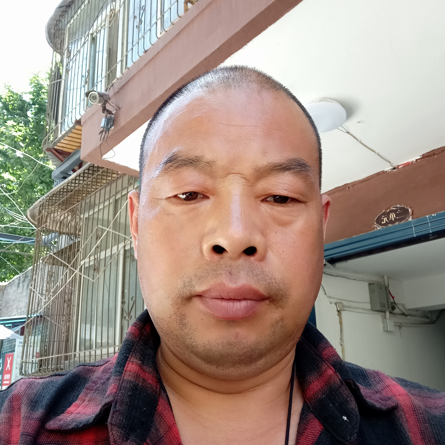 今天的情一生的缘的照片