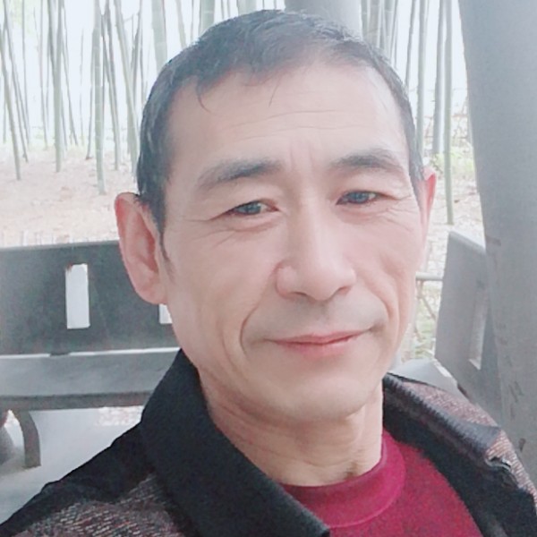 高尚的辉煌的照片