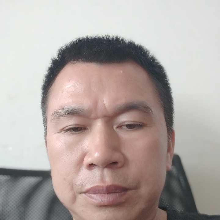 孤独的鹰的照片